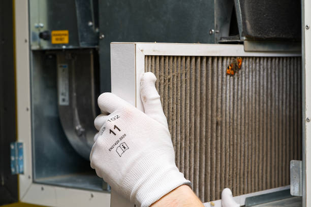 Best Commercial Air Duct Cleaning  in Coolidge, AZ