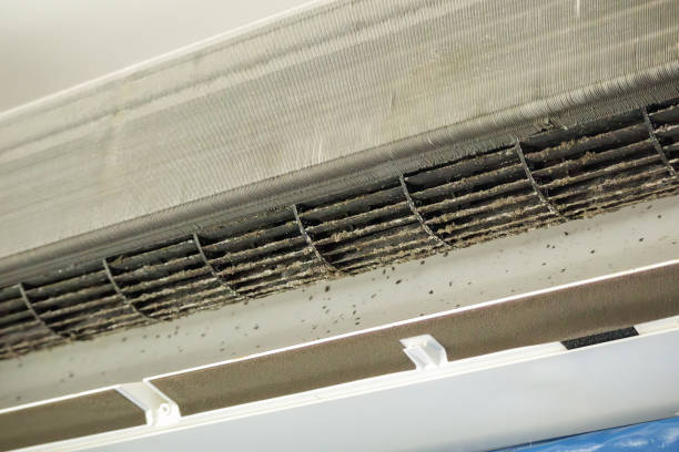 Best Air Vent Cleaning Services  in Coolidge, AZ